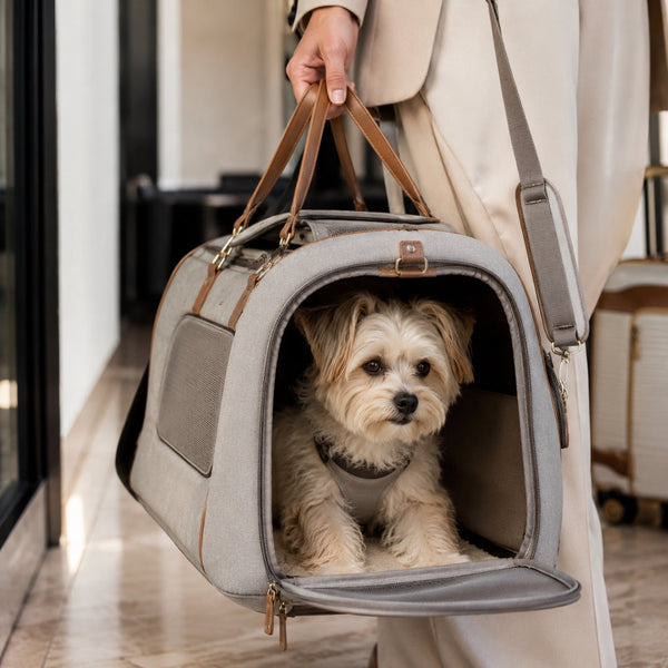 Pet Carriers & Travel Accessories