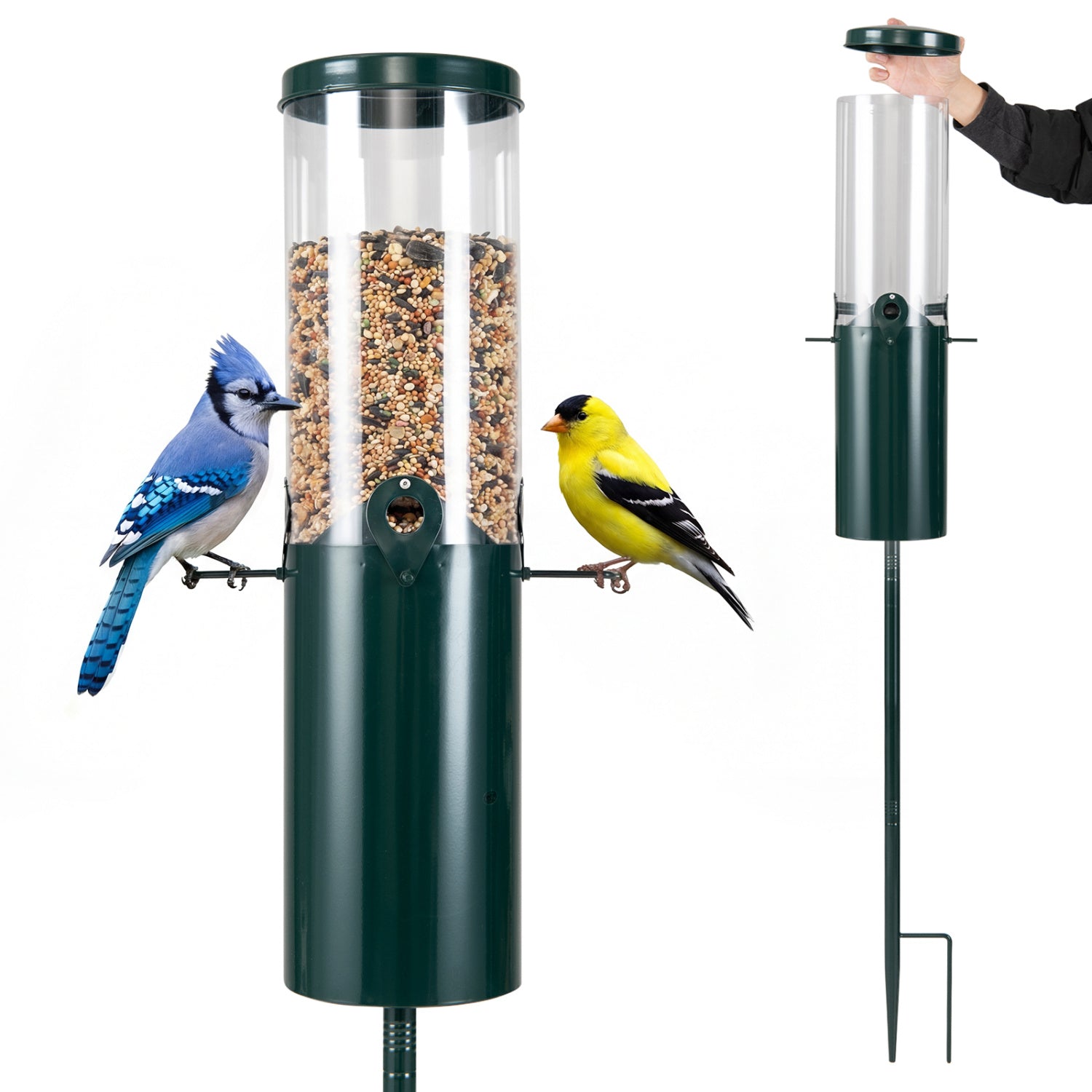 10 LBS Large Capacity Squirrel Proof Bird Feeder