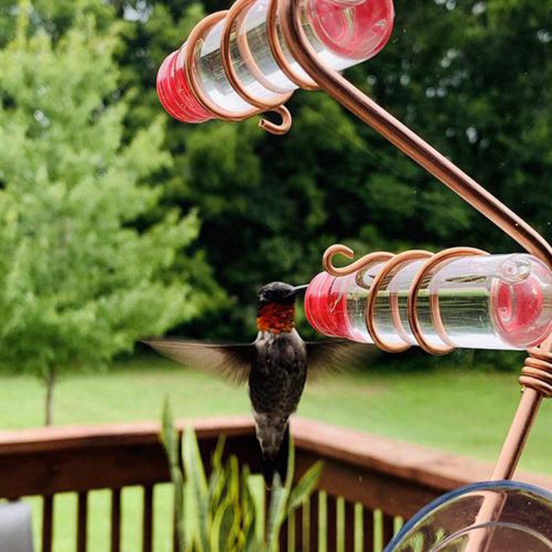 Hummingbird Feeder Drinker With Suction Cup Garden