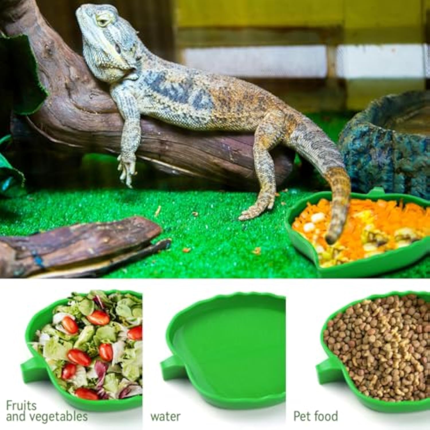 Leaf Reptile Food Water Bowls For Small Pets