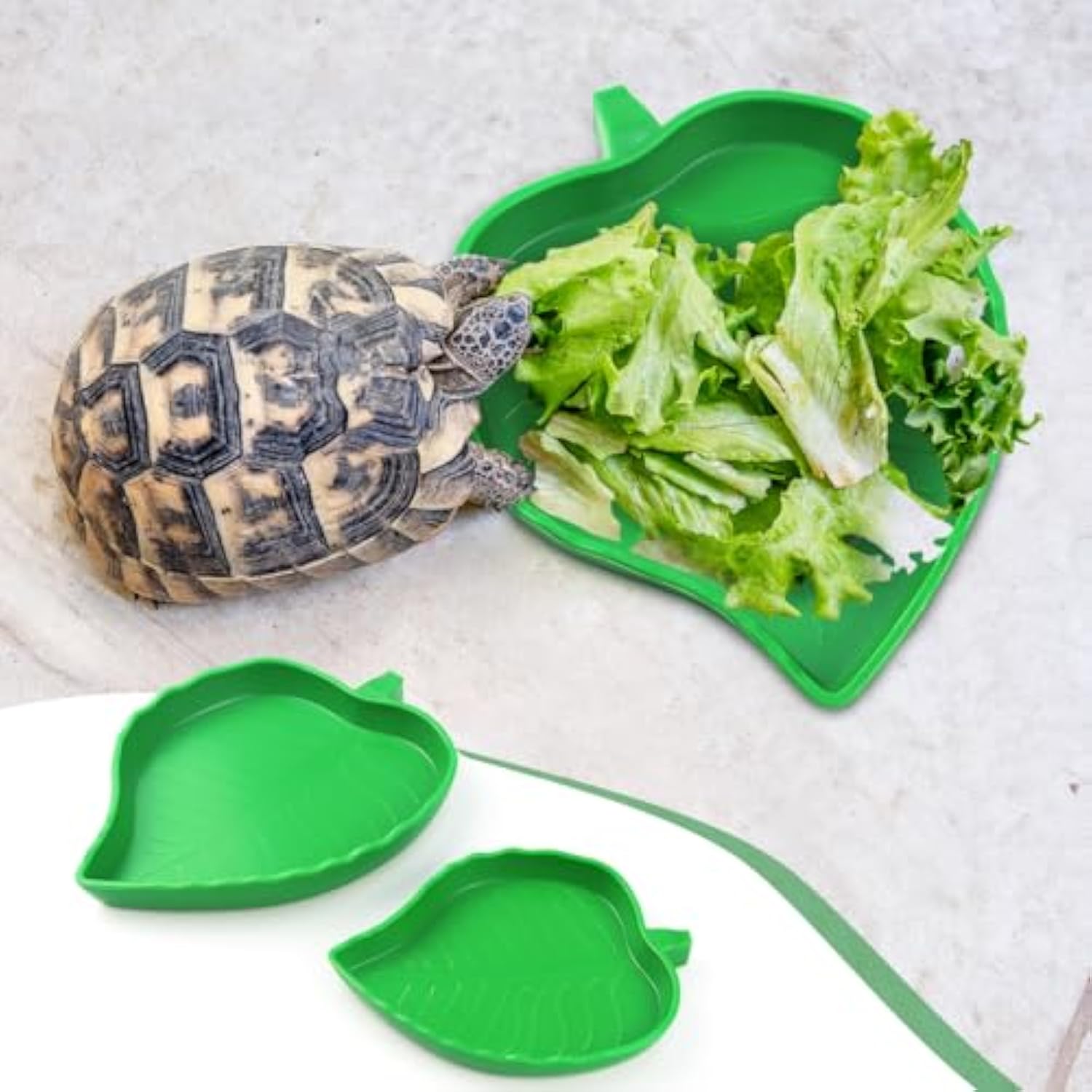 Leaf Reptile Food Water Bowls For Small Pets