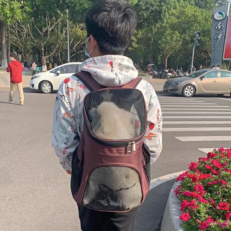 Breathable Puppy Carrier Backpack For Small Dogs