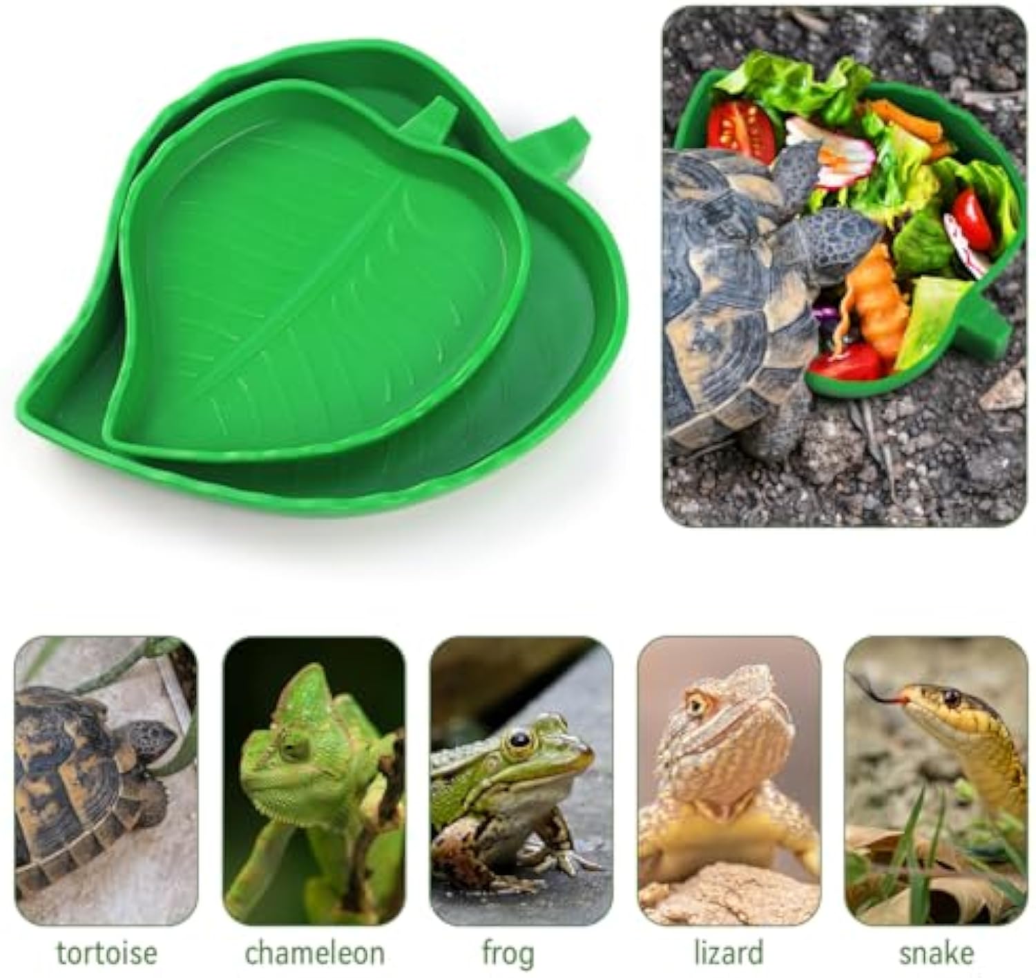 Leaf Reptile Food Water Bowls For Small Pets