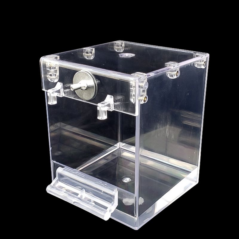 Transparent External Bird Bath Square Basin For Birds
