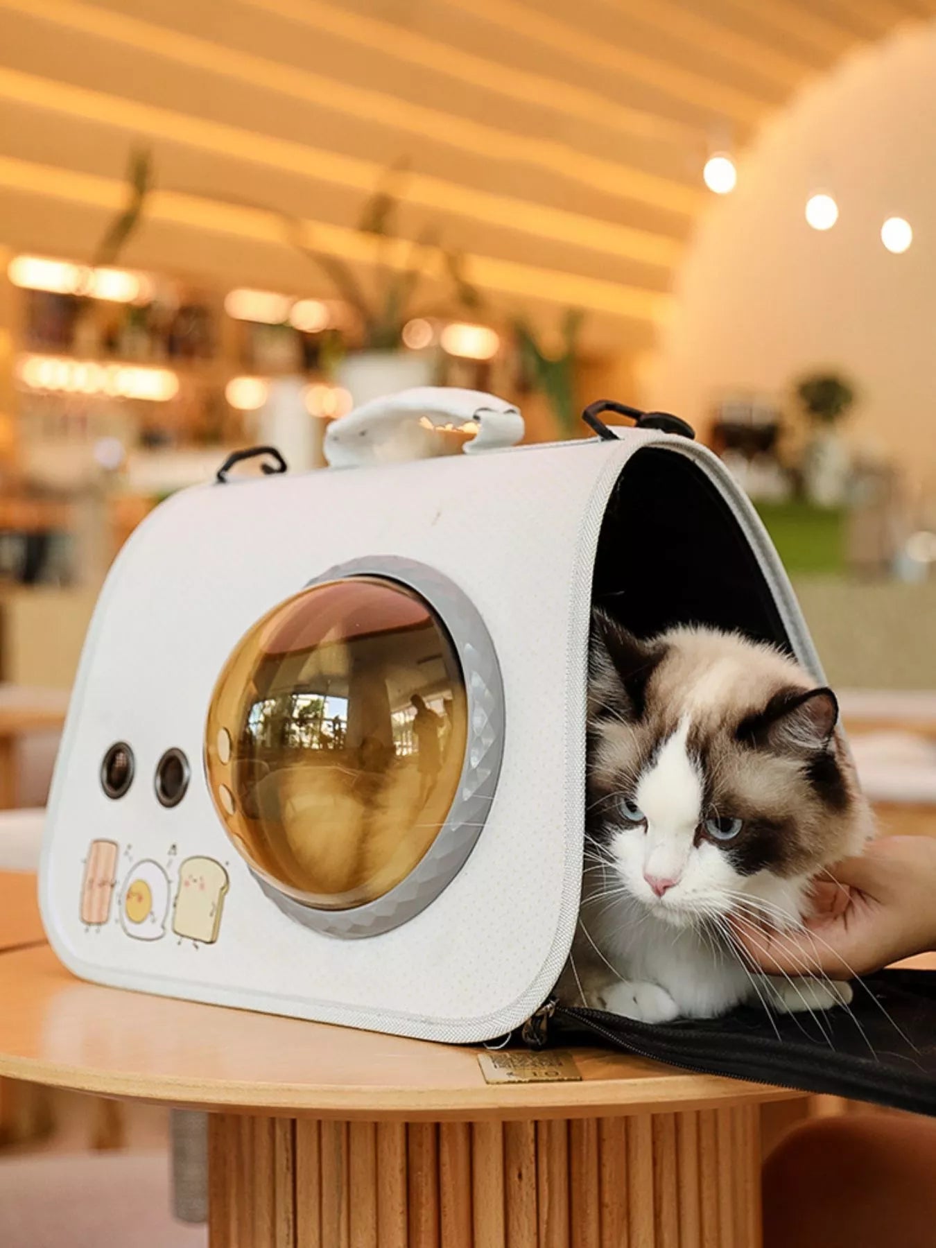 No Mess Automatic Bird Feeder Transparent Food Container