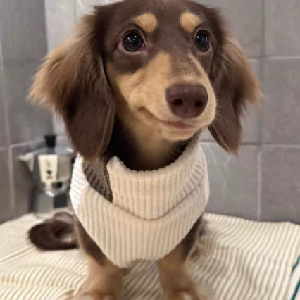 Fashionable Knitwear For Cats And Dogs Perfect For Fall And Winter