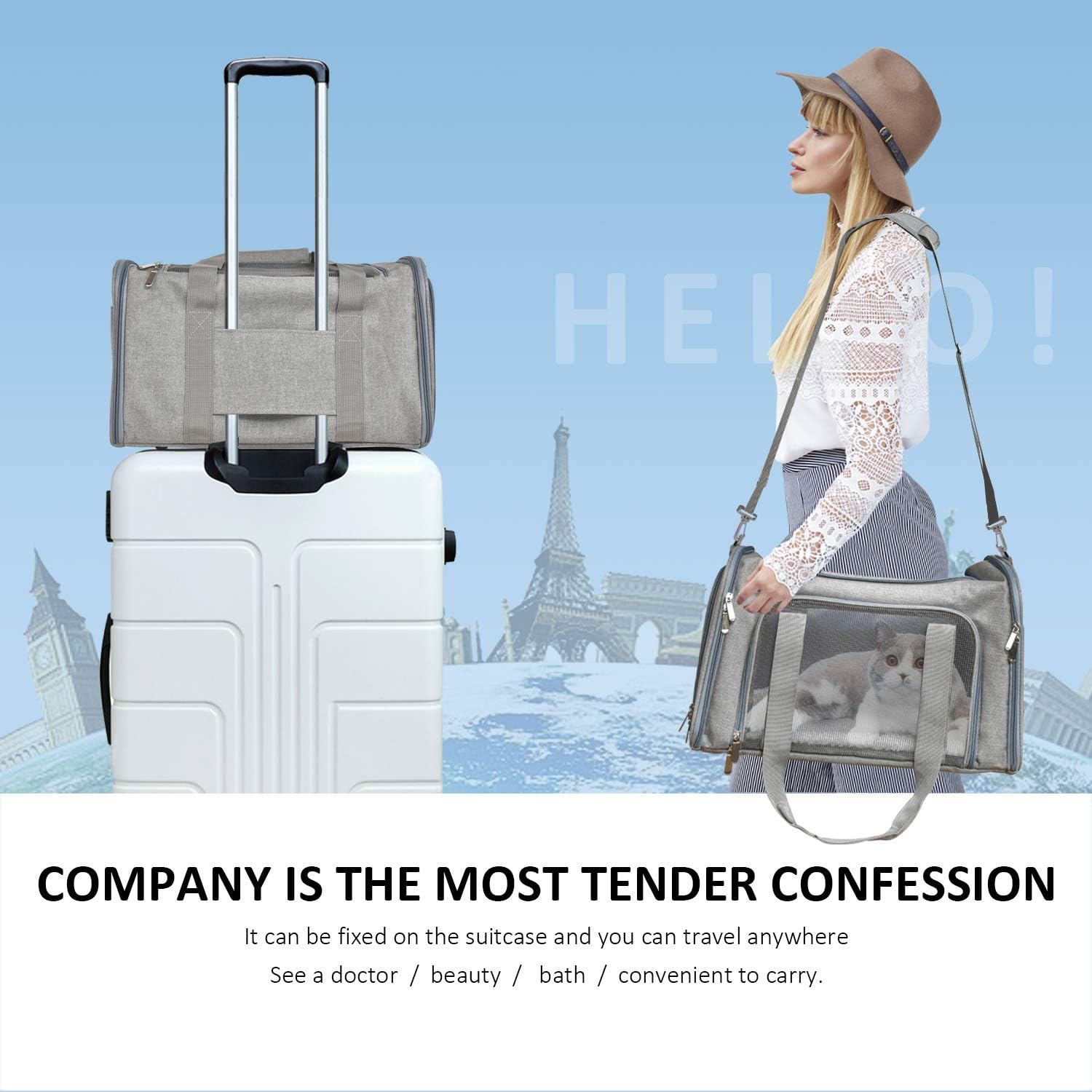 Soft Sided Collapsible Pet Carrier For Small Pets