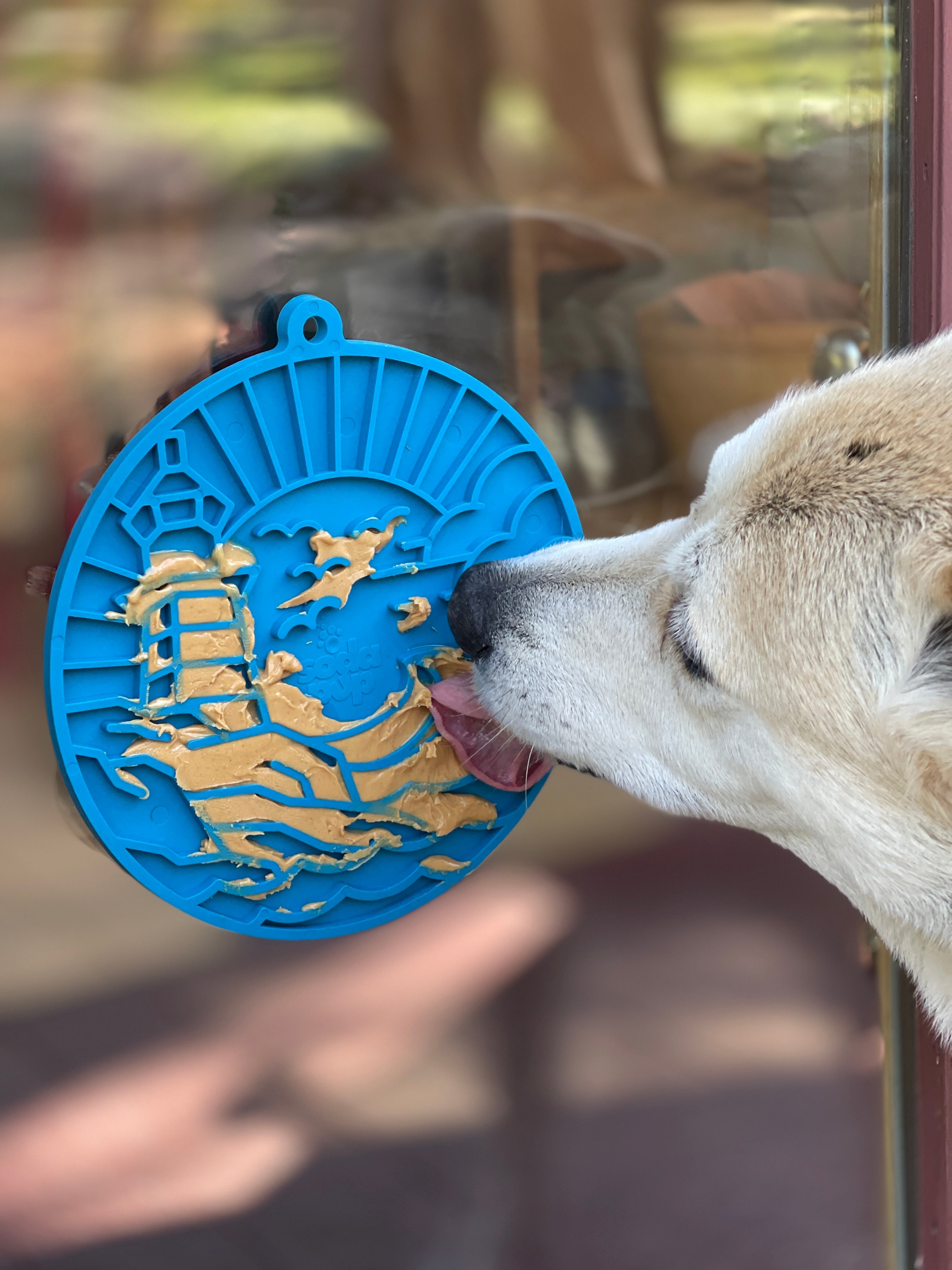 Enrichment Lick Mat With Suction Cups For Pets