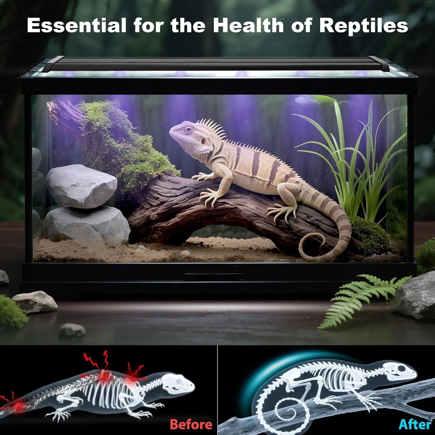 UVB Reptile Light UVA UVB Terrarium Lamp Timer