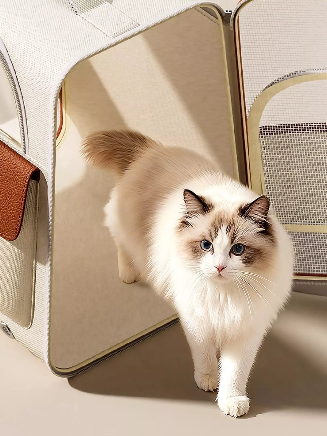 Portable Breathable Pet Carrier Backpack For Small Animals