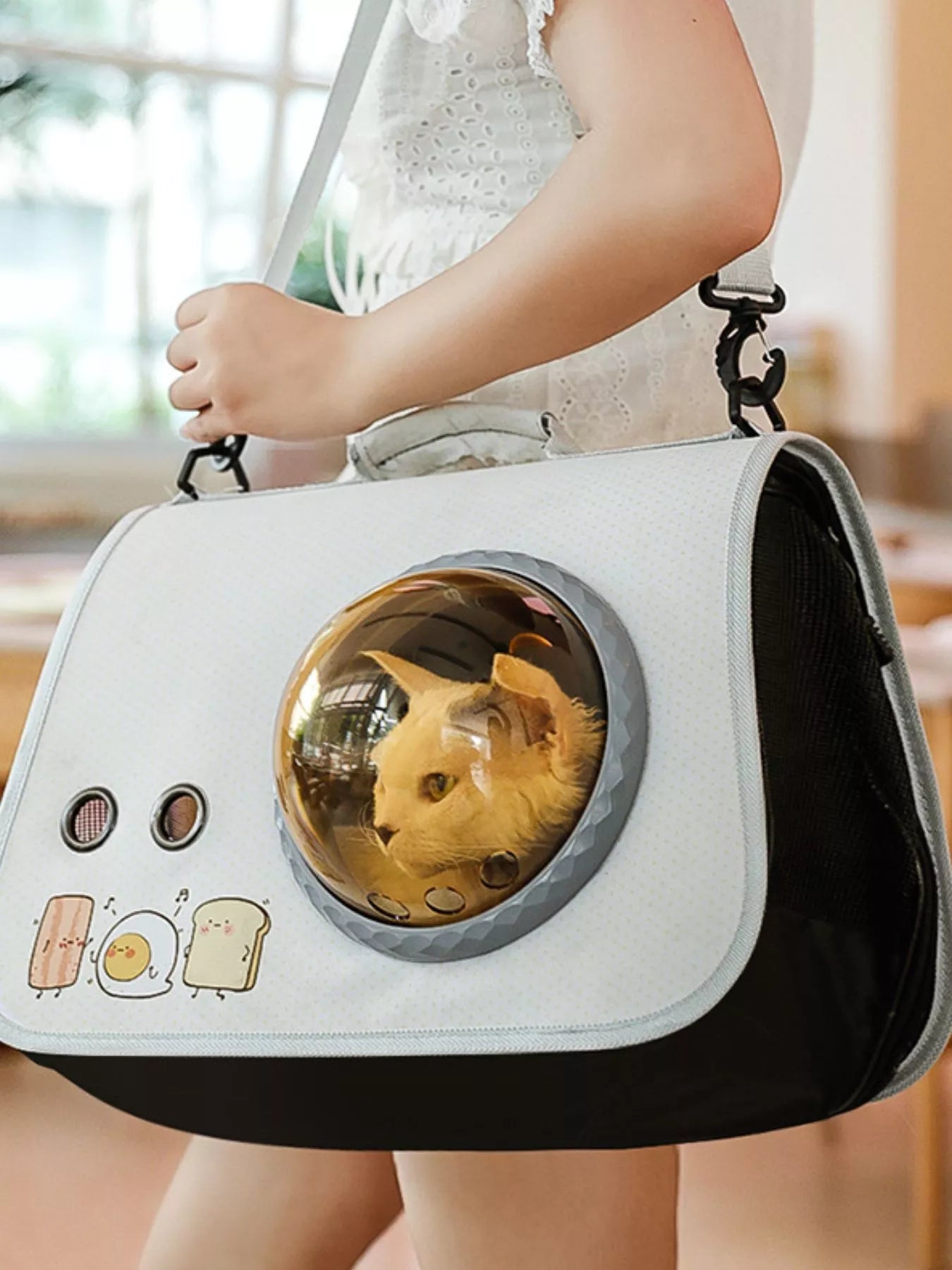 No Mess Automatic Bird Feeder Transparent Food Container