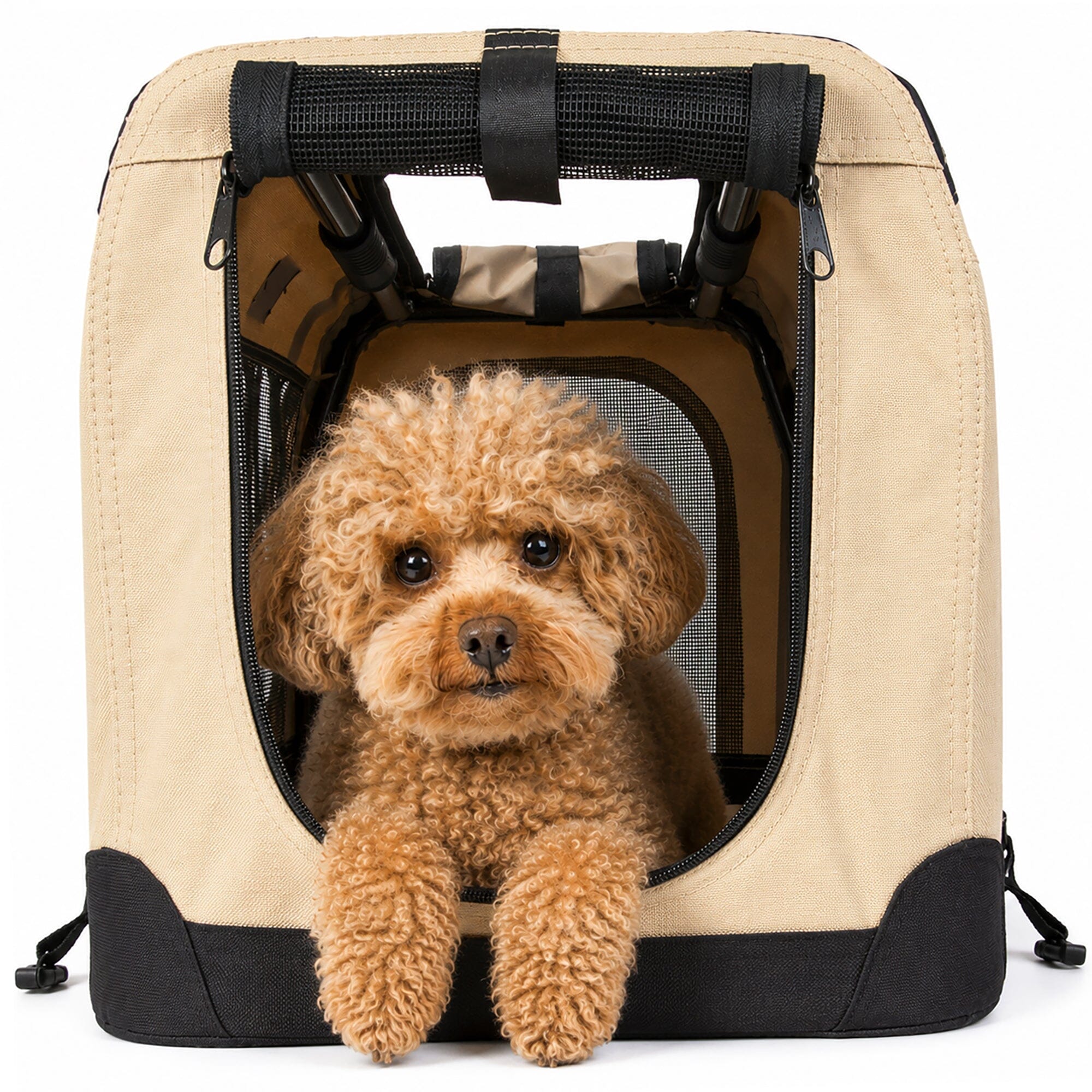 360° Vista View Folding Metal Frame Pet Crate