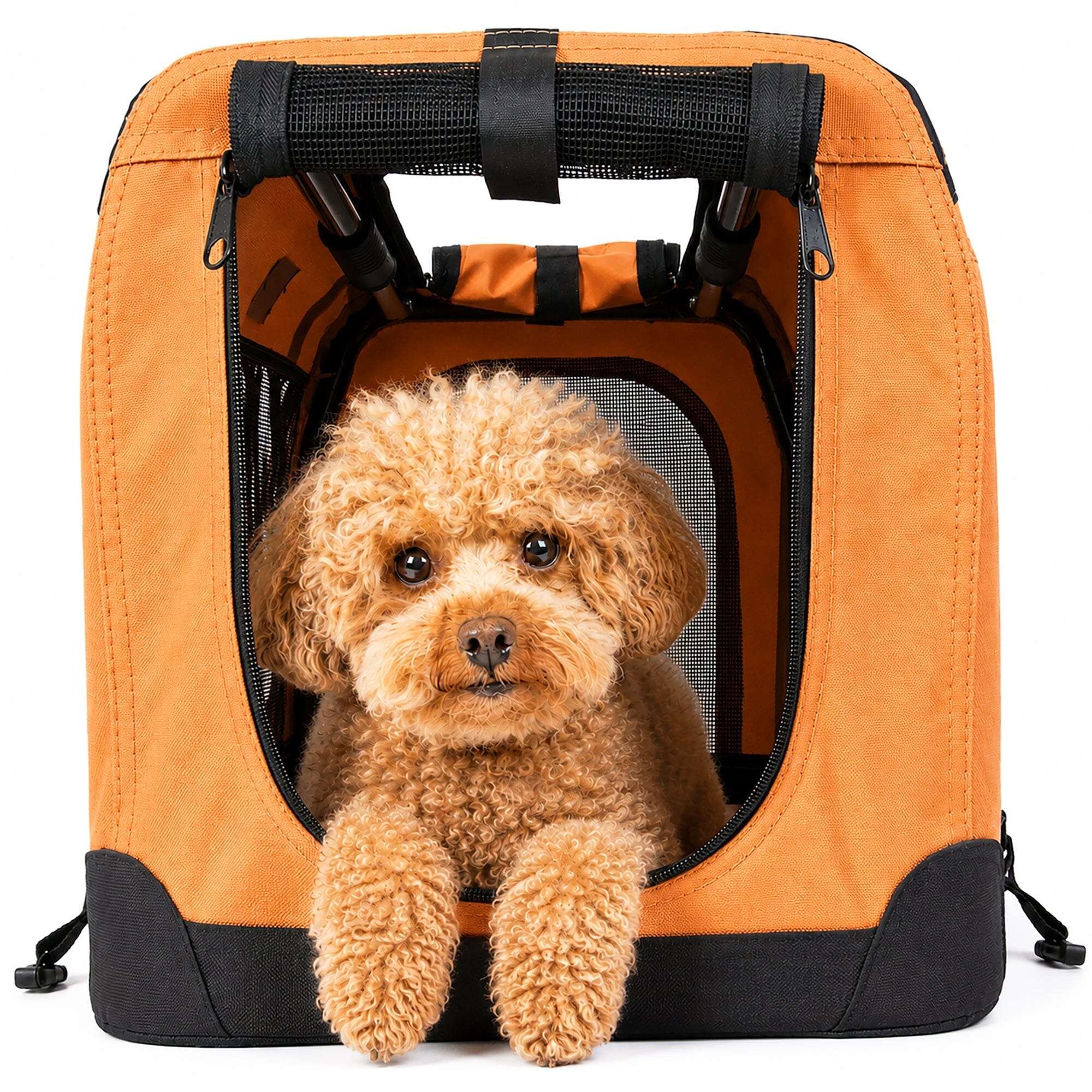 360° Vista View Folding Metal Frame Pet Crate
